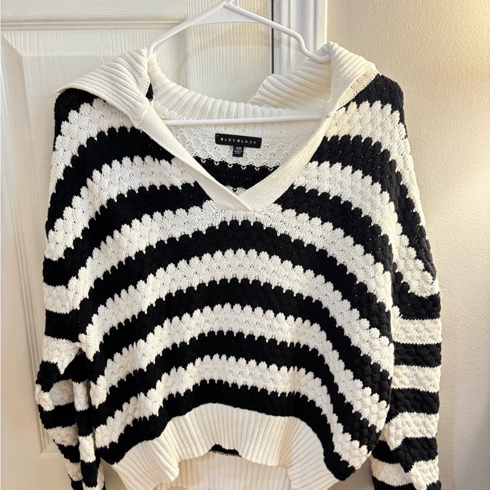 Black and White V-Neck Striped Sweater